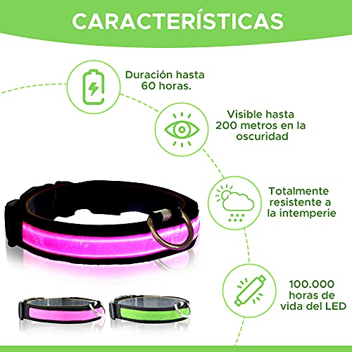 Collar Perro Personalizado con LED, Collar para Perro Luminoso y Personalizado con Nombre y teléfono, Tamaño Ajustable para Perros Pequeños Medianos Grandes (M, Rosa con Nombre)