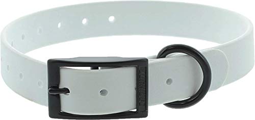 Collar policloruro de vinilo PVC Ctech 2.5 x 0.40 x 60 cm – hebilla doble – blanco cy0949