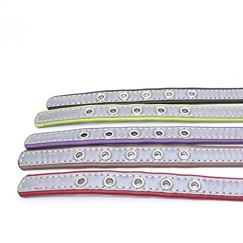 Collar Reflectante Ajustable Personalizados para Gatos Perros Cachorro Gatito con Etiqueta de Nombre Grabado Collar Perro Gato Grande Mediano Pequeño Verde