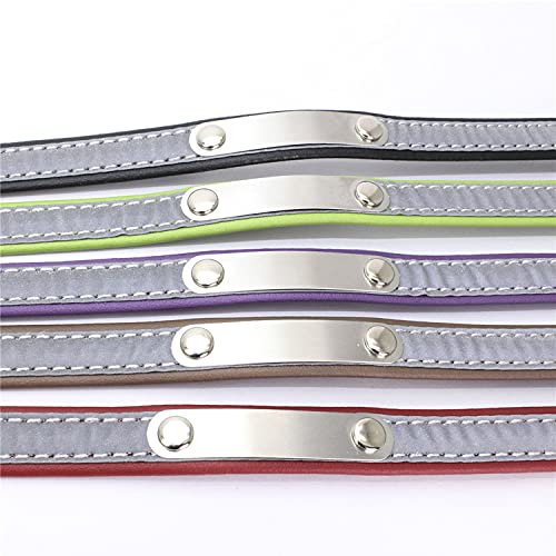 Collar Reflectante Ajustable Personalizados para Gatos Perros Cachorro Gatito con Etiqueta de Nombre Grabado Collar Perro Gato Grande Mediano Pequeño Verde