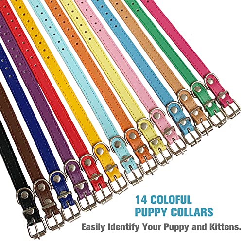 Collares de identificación para cachorros – Collar de piel suave para perros pequeños y gatos – Cuello de 6 a 13 pulgadas