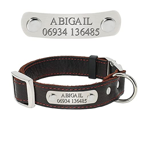 Collares para perros Collar con placa de identificación para cachorros de perro de cuero genuino Etiquetas de identificación de mascotas grabadas gratis ajustables para perros pequeños medianos