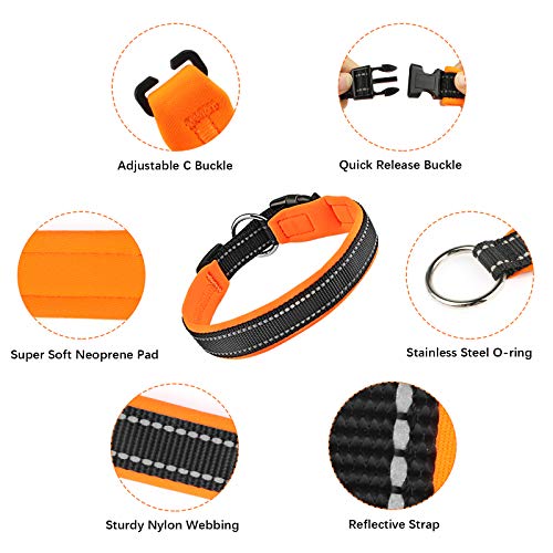 Collares y Correa para Perros Reflectante PcEoTllar Neopreno Acolchado Collar de Perro con Correa Etiqueta Duradero Ajustable Forrado Pequeños Medianos Grandes - Naranja - XL