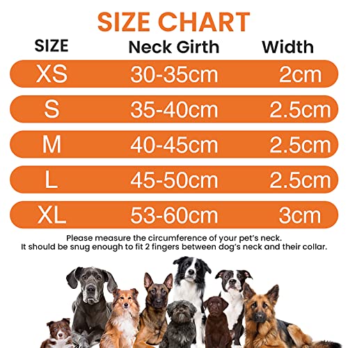 Collares y Correa para Perros Reflectante PcEoTllar Neopreno Acolchado Collar de Perro con Correa Etiqueta Duradero Ajustable Forrado Pequeños Medianos Grandes - Naranja - XL