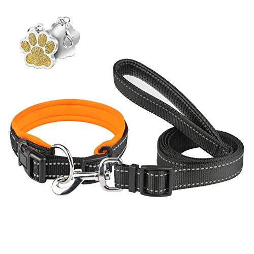 Collares y Correa para Perros Reflectante PcEoTllar Neopreno Acolchado Collar de Perro con Correa Etiqueta Duradero Ajustable Forrado Pequeños Medianos Grandes - Naranja - M