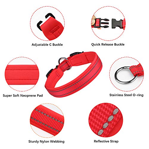 Collares y Correa para Perros Reflectante PcEoTllar Neopreno Acolchado Collar de Perro con Correa Etiqueta Duradero Ajustable Forrado Pequeños Medianos Grandes - Rojo - M