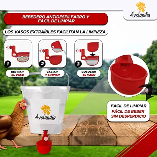 Comedero para gallinas y Pollos Grande 15KG Anti Despilfarro con Tapa Anti Roedores y Ratones + Regalo 2 Bebederos 5L : Cobertura Anti Lluvia. Aprovecha el 100% del pienso