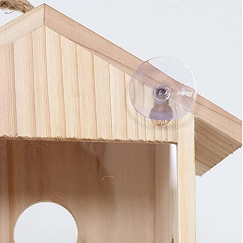 Comedero para pájaros, casita para pájaros con ventosas, jaula para nidos de pájaros para jardín al aire libre, cacatúas, agapornis, loros y pájaros pequeños y medianos ventosa caja nido con ventana