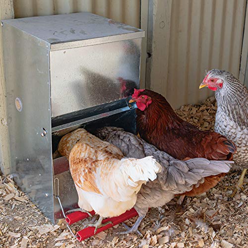 Comedero tolva para aves apertura mecánica Safeed 12k