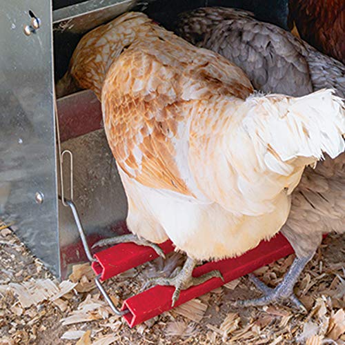 Comedero tolva para aves apertura mecánica Safeed 12k