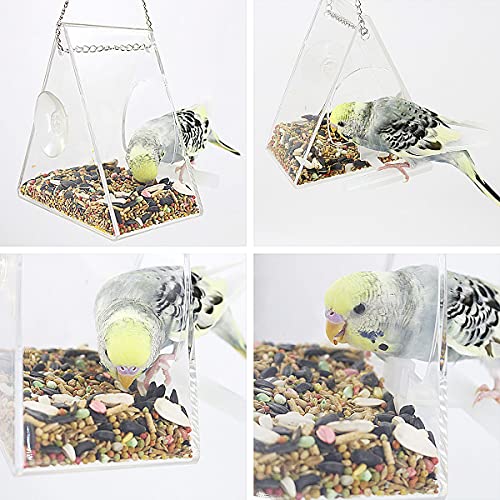 Comedero Transparente para pájaros, estación de alimentación para pájaros, Comedero Aves De Ventana con Cadena de Metal y ventosas - Accesorios para pájaros