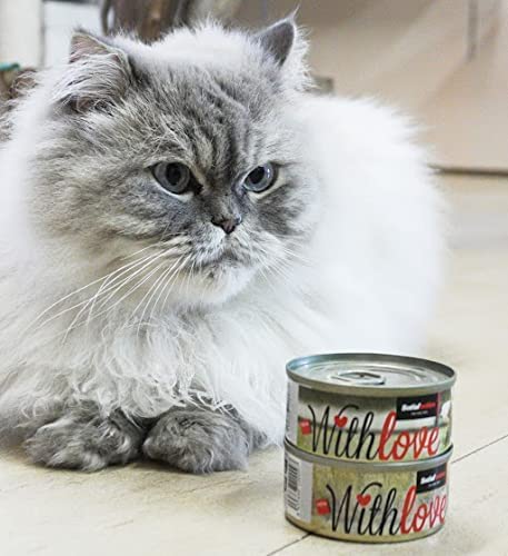 Comida húmeda para Gatitos, Sabor Conejo con Semillas de Lino (12 latas x 70 gr)