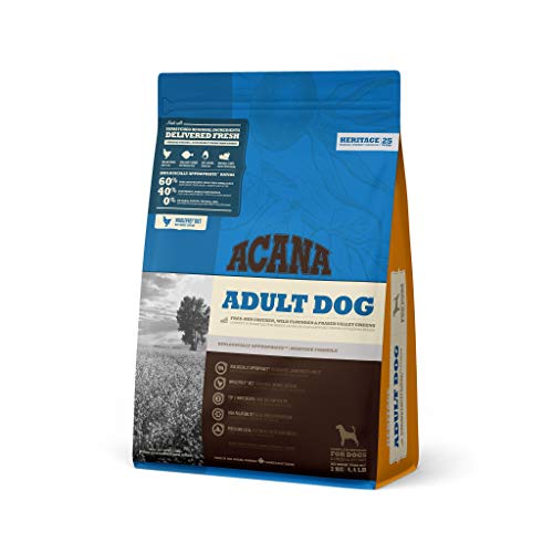 Comida Perro Adluto 2kg