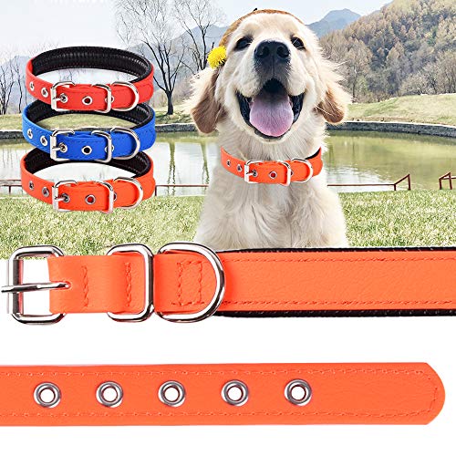 Cómodo Collar Para Perros, Permanente y Robusto, Tamaño Perfecto Para Perros Pequeños, Medianos y Grandes, Gran Ajuste con Acolchado Resistente a la Intemperie e Impermeable (Naranja, M)