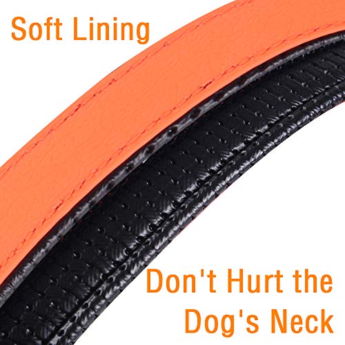 Cómodo Collar Para Perros, Permanente y Robusto, Tamaño Perfecto Para Perros Pequeños, Medianos y Grandes, Gran Ajuste con Acolchado Resistente a la Intemperie e Impermeable (Naranja, M)