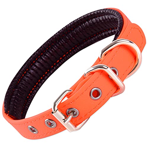 Cómodo Collar Para Perros, Permanente y Robusto, Tamaño Perfecto Para Perros Pequeños, Medianos y Grandes, Gran Ajuste con Acolchado Resistente a la Intemperie e Impermeable (Naranja, M)