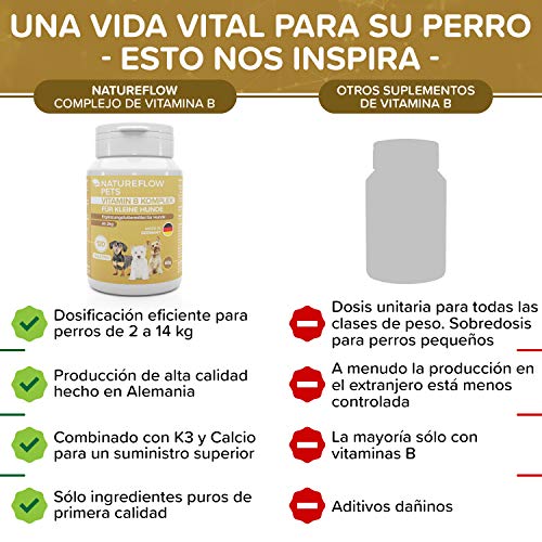 Complejo de Vitamina B Perros - B Vitaminas para perros a partir de 2 kg - 120 Comprimidos de vitaminas - Suplemento perro con K3, ácido fólico, calcio y biotina para perros - Made in Germany