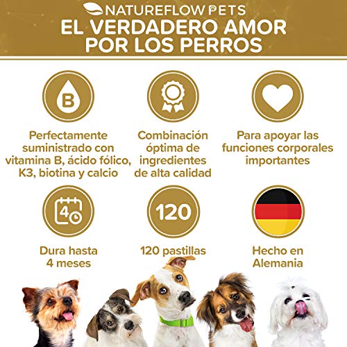 Complejo de Vitamina B Perros - B Vitaminas para perros a partir de 2 kg - 120 Comprimidos de vitaminas - Suplemento perro con K3, ácido fólico, calcio y biotina para perros - Made in Germany