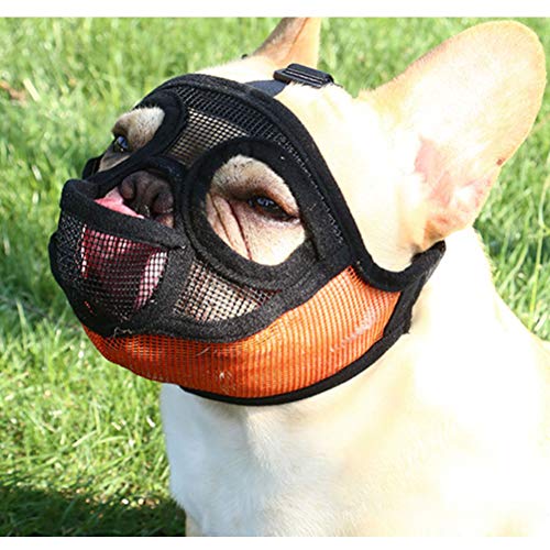 Comtervi Bozal para Perros, músculo Transpirable, Nylon Ajustable, para la mayoría de los Perros, Bulldog Bulldog inglés francés XXS - L