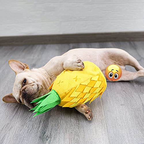 Cooer Pet Suppies Squeaky Tibetan Food Training Toy Piña Fleece Pad Molar Masticando Perro Olfateando Mat