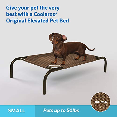 Coolaroo El Original Elevated Mascota Cama pequeña Nuez moscada