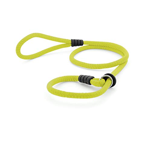 Correa de Perro para Adiestramiento - Correa de Entrenamiento para Perros Medianos y Grandes - Collar y Cuerda con Regulador - 150 cm x 12mm (Verde Lima)