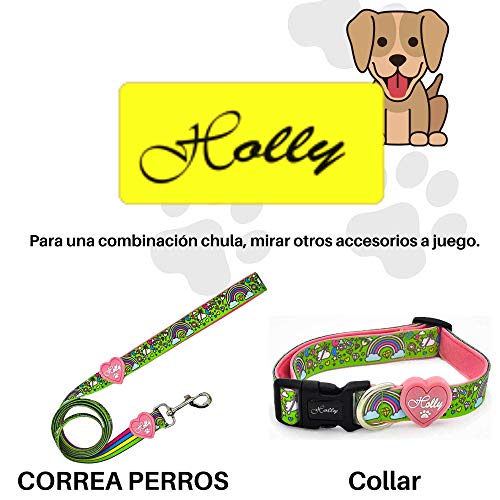 Correa de poliéster Premium para su Perro, Mango Acolchado Suave para Paseo o Entrenamiento de Mascotas, Perro Medio, Grande, o Perro pequeño.