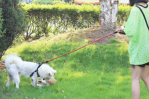 Correa para perro de color rojo de 5 pies con cómodo mango acolchado e hilos altamente reflectantes para perros pequeños, medianos y grandes