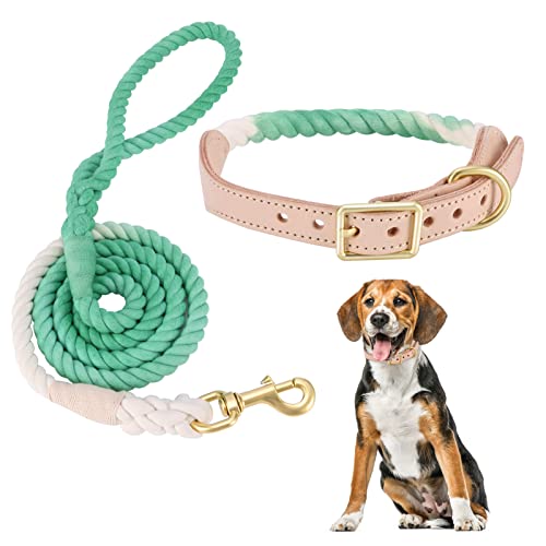 Correa para Perros con Collar, Conjunto de Correa de perro de algodón y collar de cuero con anillo en D duradero collar y correa para mascotas para Perros Pequeños Medianos Caminar Correr Camping