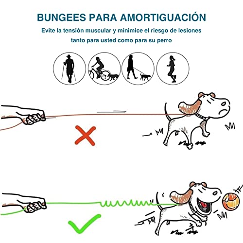 Correa para Perros Manos Libres(120cm-190cm) con Costuras Reflectantes, Correa para Correr, cinturón Ajustable, Mango de Doble Control, Correa elástica.