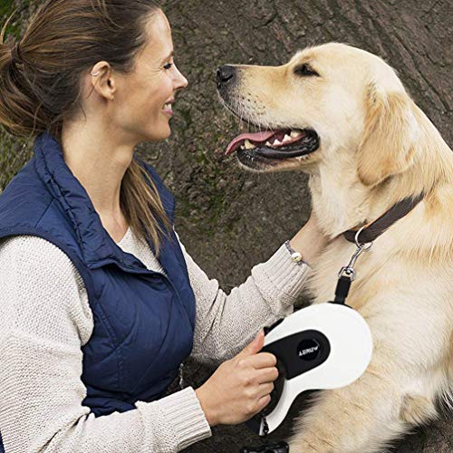 Correa Perro Extensible, Correa Retráctil para Perros Mascotas 5m Freno y Lock Nylon Cuerda Pequeño Mediano Grande Perro Hasta 40 kg