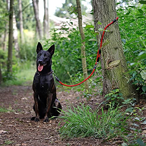 Correa Regulable para Perros Correa Regulable Multiusos Correa Doble Correa de Manos Libres Correa acoplable Rojo