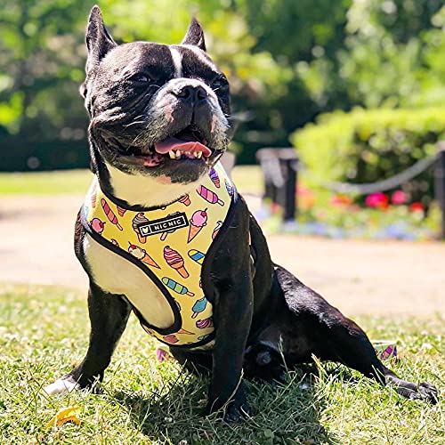 Correas para Perros Y Correas Sin Tirar del Chaleco para Mascotas Transpirable Cuerda De Rastrillo para Un Bulldog Francés Pug Puppy Walk-Blue con Correa Perro Coche Arnés Perro Mediano