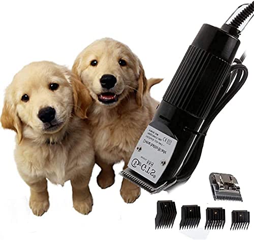 Cortapelos Para Mascotas Golden Retriever Teddy Cat Razor Cortapelos Para Mascotas Cortapelos Mudo Para Perros Cortapelos Perros Maquina Cortar Pelo Perros Maquina Cortar Pelo Profesional