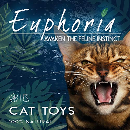 Croci Euphoria - Bote Catnip 25 g