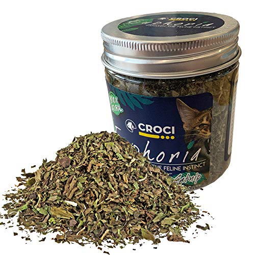 Croci Euphoria - Bote Catnip 25 g