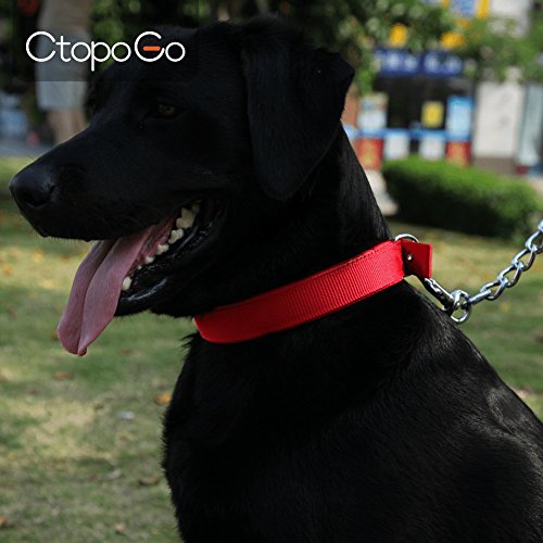 Cuello de Perro Cómodo Cuello de Perro ajustable con Hebilla fácil Nylon fuerte Cuello de perro relleno Cuello de mascota para perros pequeños / medianos / grandes,Collares básicos,Cuello 12 "-24"