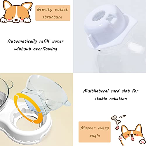 Cuenco del Gato,15°Inclinación Tazón de Alimentación para Gatos,3 in 1 Comedero y Bebedero Automático para Gatos y Perros, Anti Salpicaduras Dispensador de Agua para Gatos (Blanco)