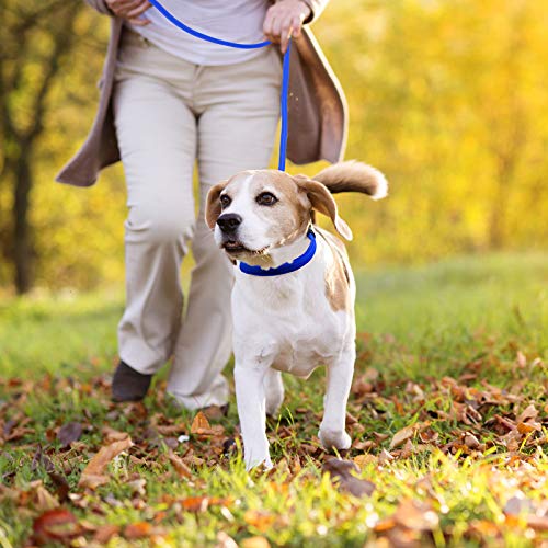 Cuerda de Correa Ajustable de Nylon de Plomo de Perro Correa de Entrenamiento de Mascotas Cuerda de Collar de antideslizantepara Caminar Entrenamiento Mascotas 1,5 m (Azul)