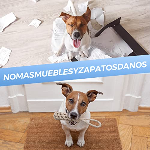 Cuerdas Perros Morder,KIPIDA Juguetes para Perros,4 Piezas Juego de Juguetes para Perros Cachorros,Durable MasticableCuerda,Juguetes de Cuerda para Perros, Medianos Juguetes Perros pequeños,Regalo