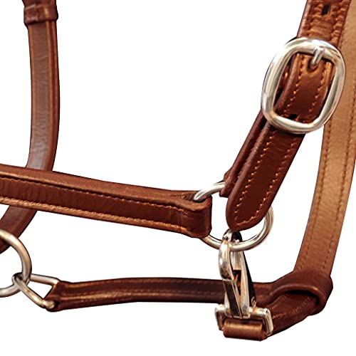 Cuero de búfalo herrajes de Acero Ronzal/Cabestro de Cuero Marrón Ajustable para PoniDeportes Actividades al Aire Libre Equitación Arreos para Caballos Cabestros para Caballos