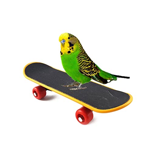 CurCKuad Pájaro Loro Juguetes Entrenamiento Stand Stand Perca para periquitos periquitos Cockatiels Lovebird Conure Divertido talbe Juguete Loro monopatín