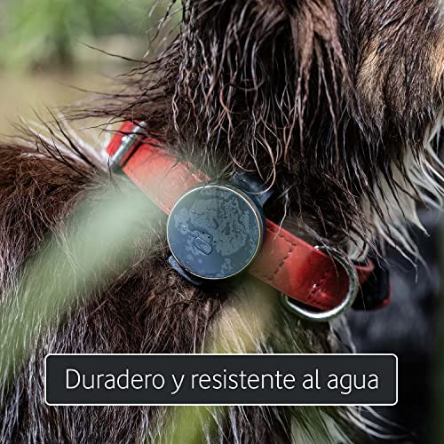 Curve Pet, Localizador GPS Inteligente, Dispositivo Ligero con Clip para Mascotas, Perros y Gatos - Suscripción Incluida 2 Años