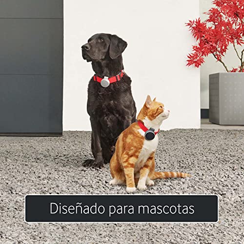 Curve Pet, Localizador GPS Inteligente, Dispositivo Ligero con Clip para Mascotas, Perros y Gatos - Suscripción Incluida 2 Años