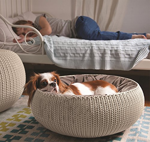 Curver 228812 - Cama para mascotas, color arena