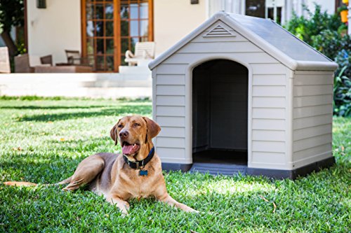 CURVER Caseta de Perro para jardín, Color Topo/Beige, 95 x 99 x 99 cm + Amazon Basics Dispensador de Agua y Comida, Grande