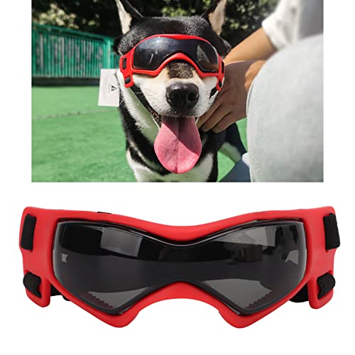 CUTULAMO Gafas de Protección Ocular para Perros, Protección UV, Comodidad, a Prueba de Nieve, Gafas para Perros, Protección contra el Polvo, a Prueba de Viento para Perros Medianos Y Grandes(Rojo)