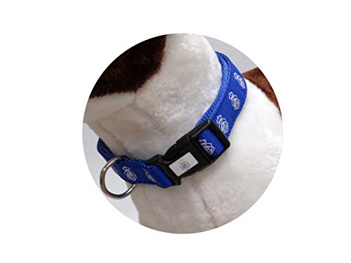 CYP BRANDS - Recreativo de Huelva - Collar para Perro - Talla M