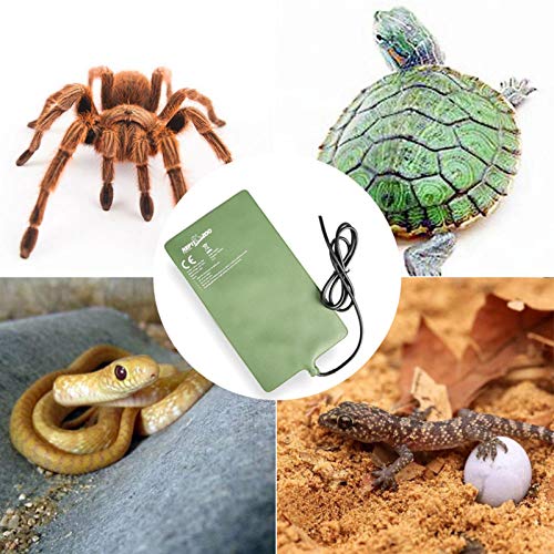 cypressen Reptil - Alfombrilla calefactora para terrario, regulador de temperatura, para reptiles, tortuga, lagarto, gecko, araña