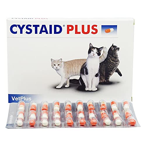 Cystaid Plus